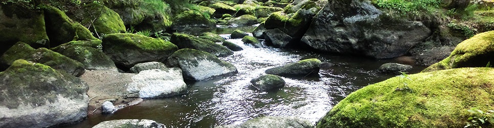 De Waldnaab