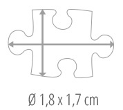 Maat puzzelstukje - fotopuzzel 2000 stukjes